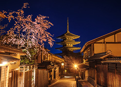 コンパニオン派遣